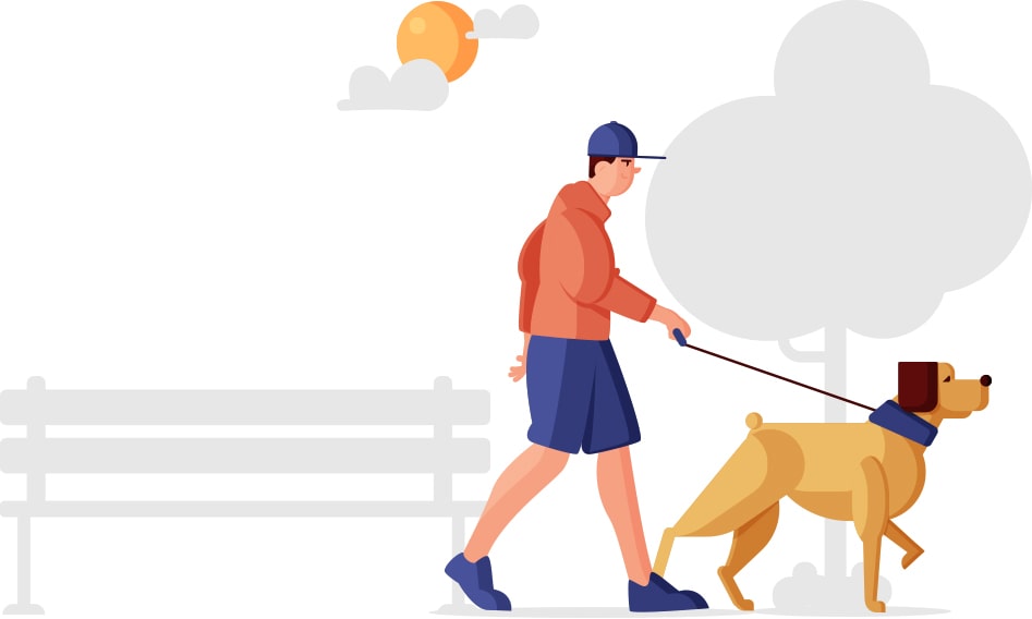 Professional Walking Services Keep Your Pup Active