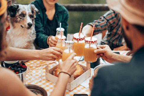 Dogs around guests being anxious