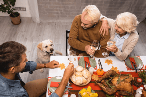 curious dog sniffing new person