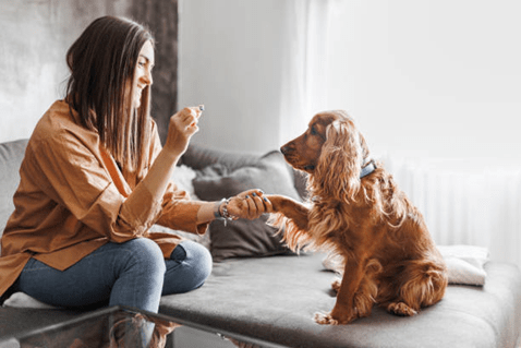 owner giving command to dog 