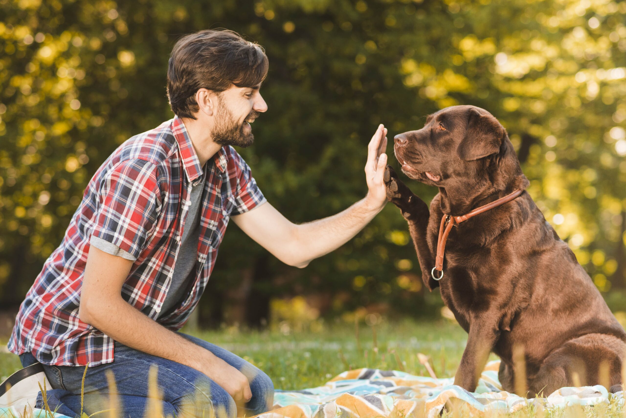 Dog Behavior Training