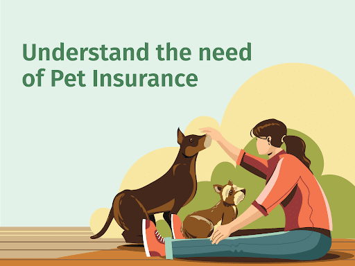 Understanding Pet Insurance 