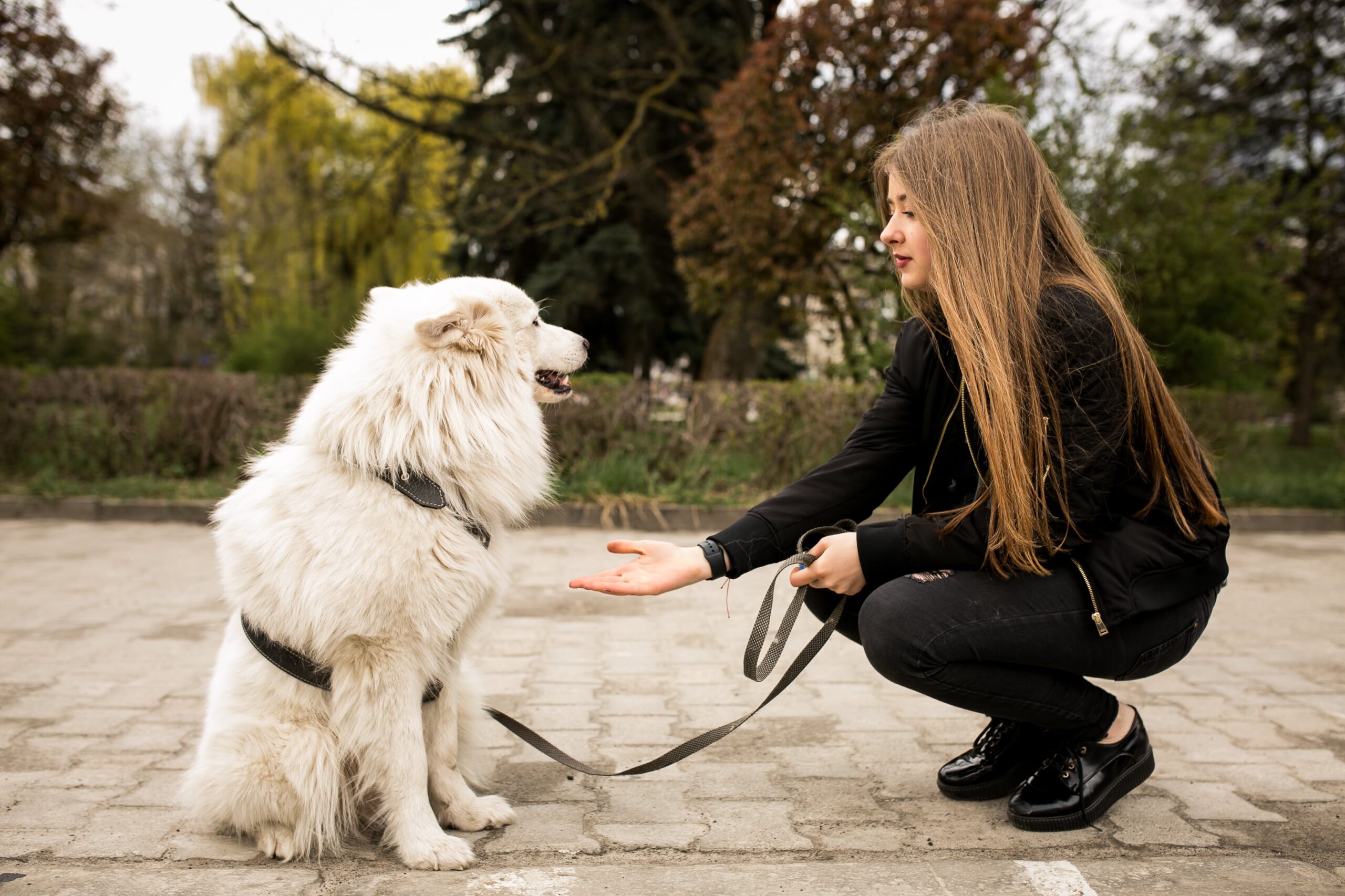 Embraces Positive Reinforcement
