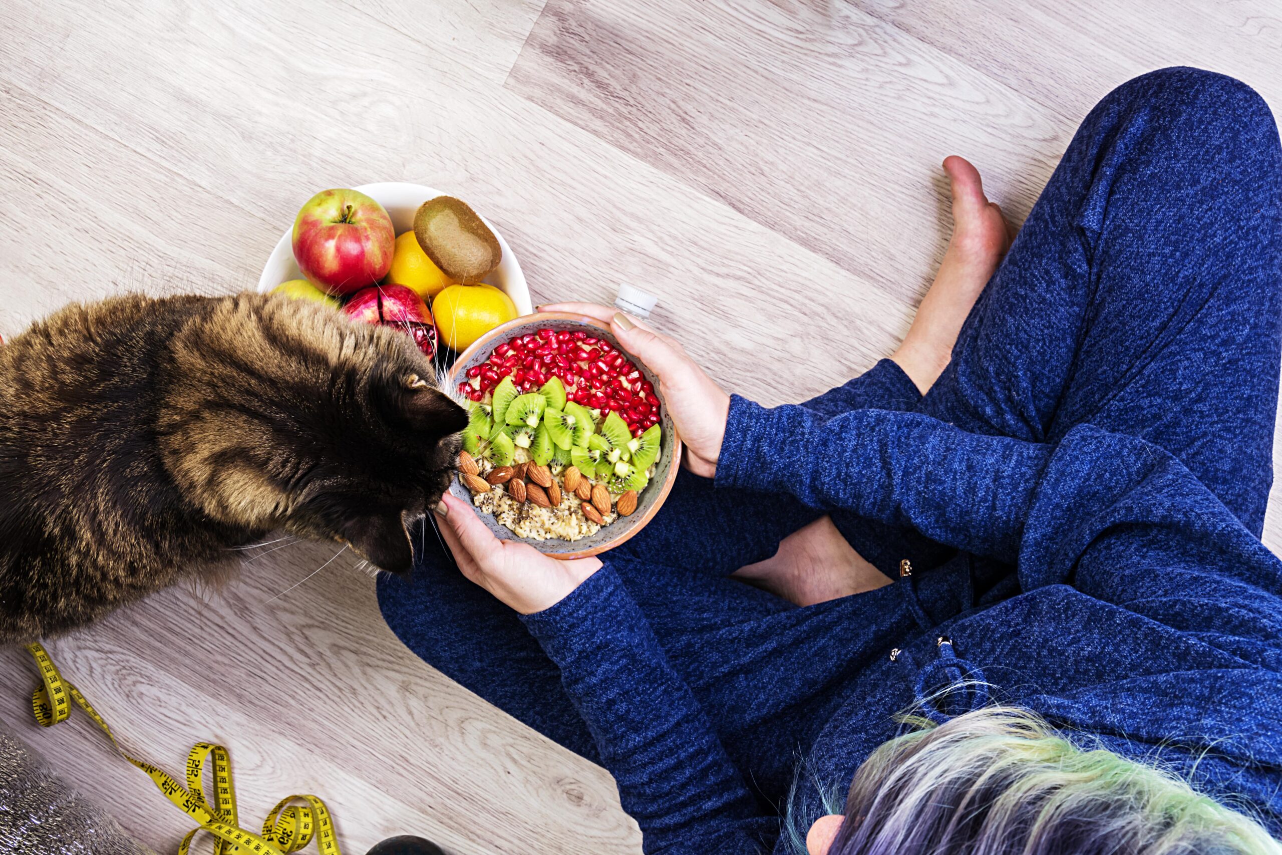  plant-based dog diets