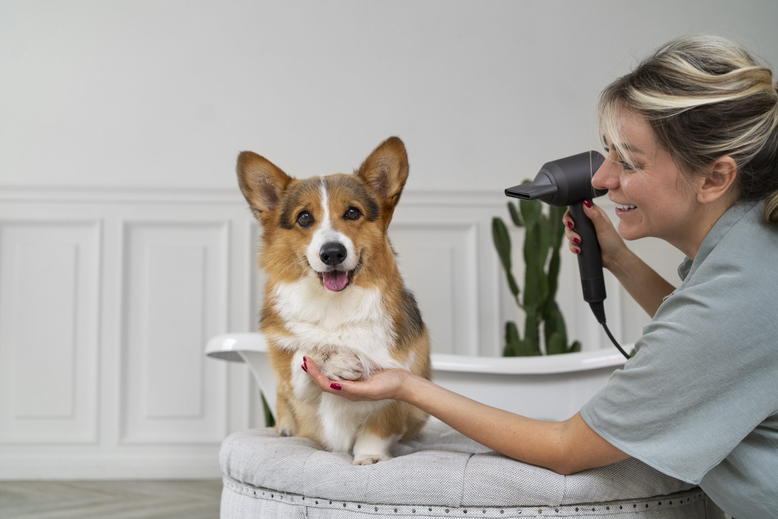 Health-Focused Care