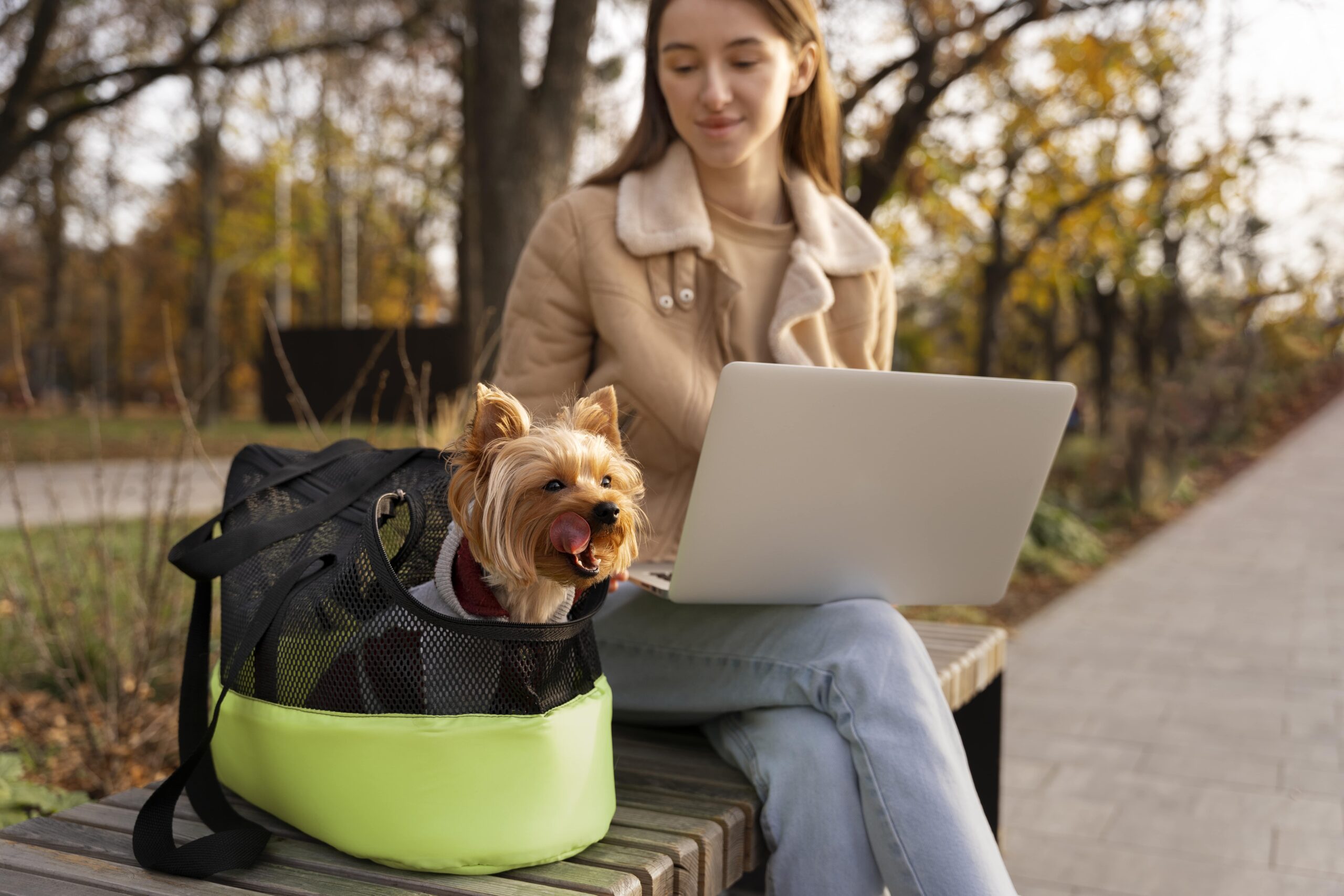  Dog-Friendly Travel by Using AI