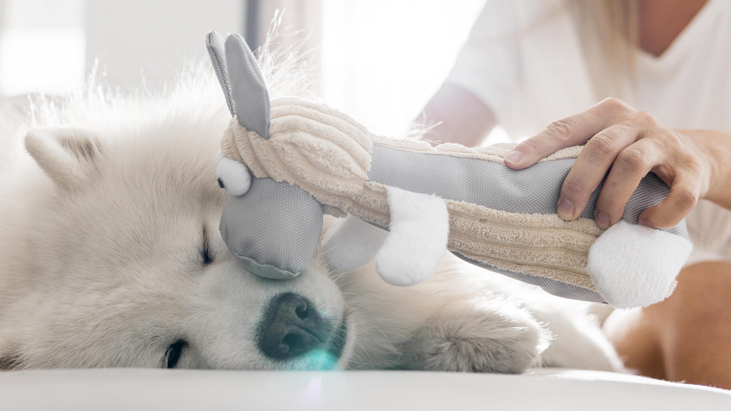 Holistic and Alternative Therapies