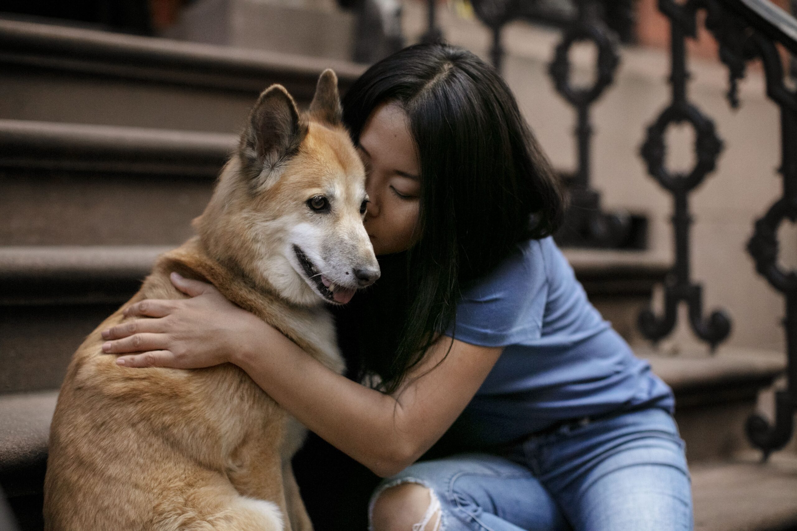 dog adoption