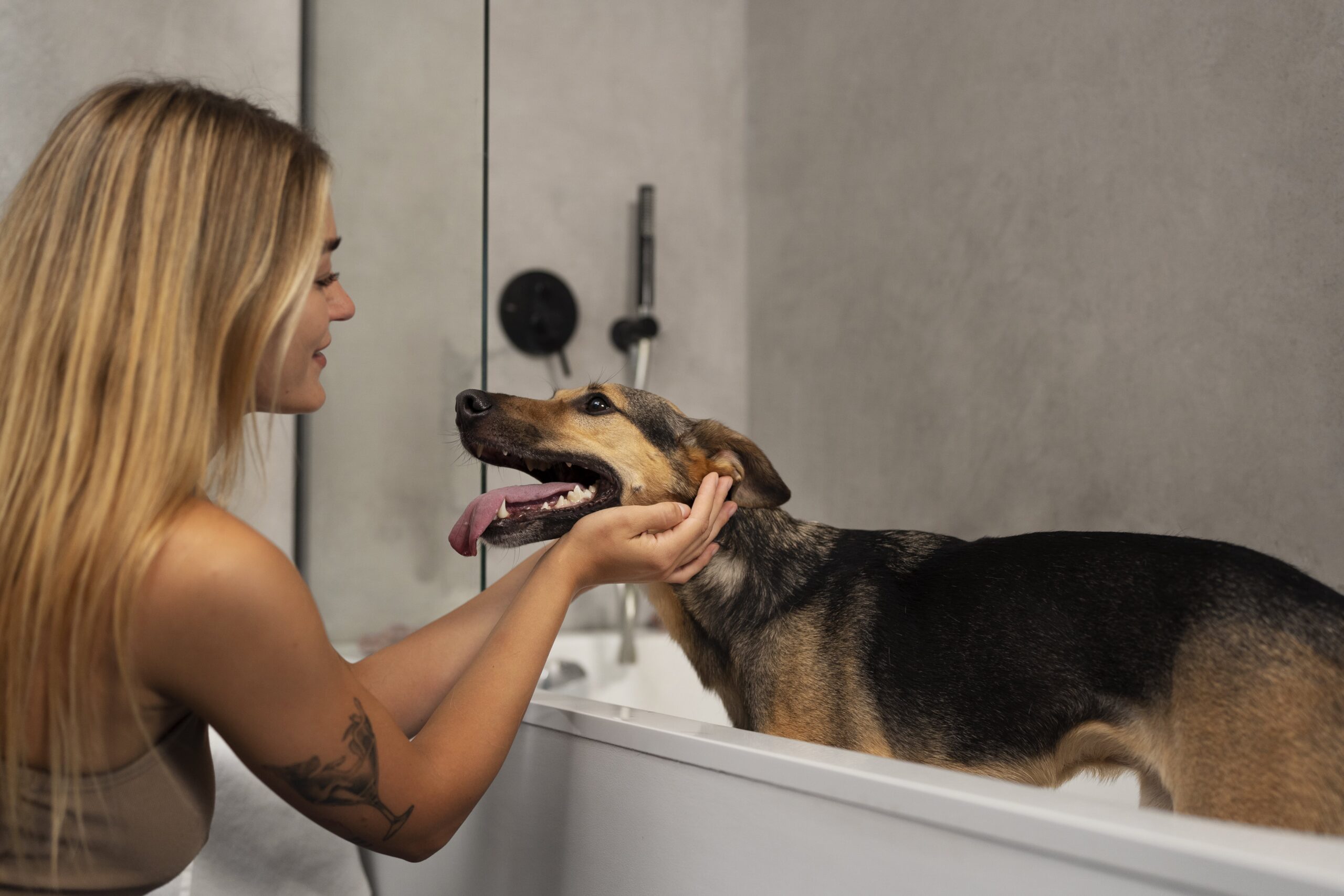 SPA Style modern dog grooming