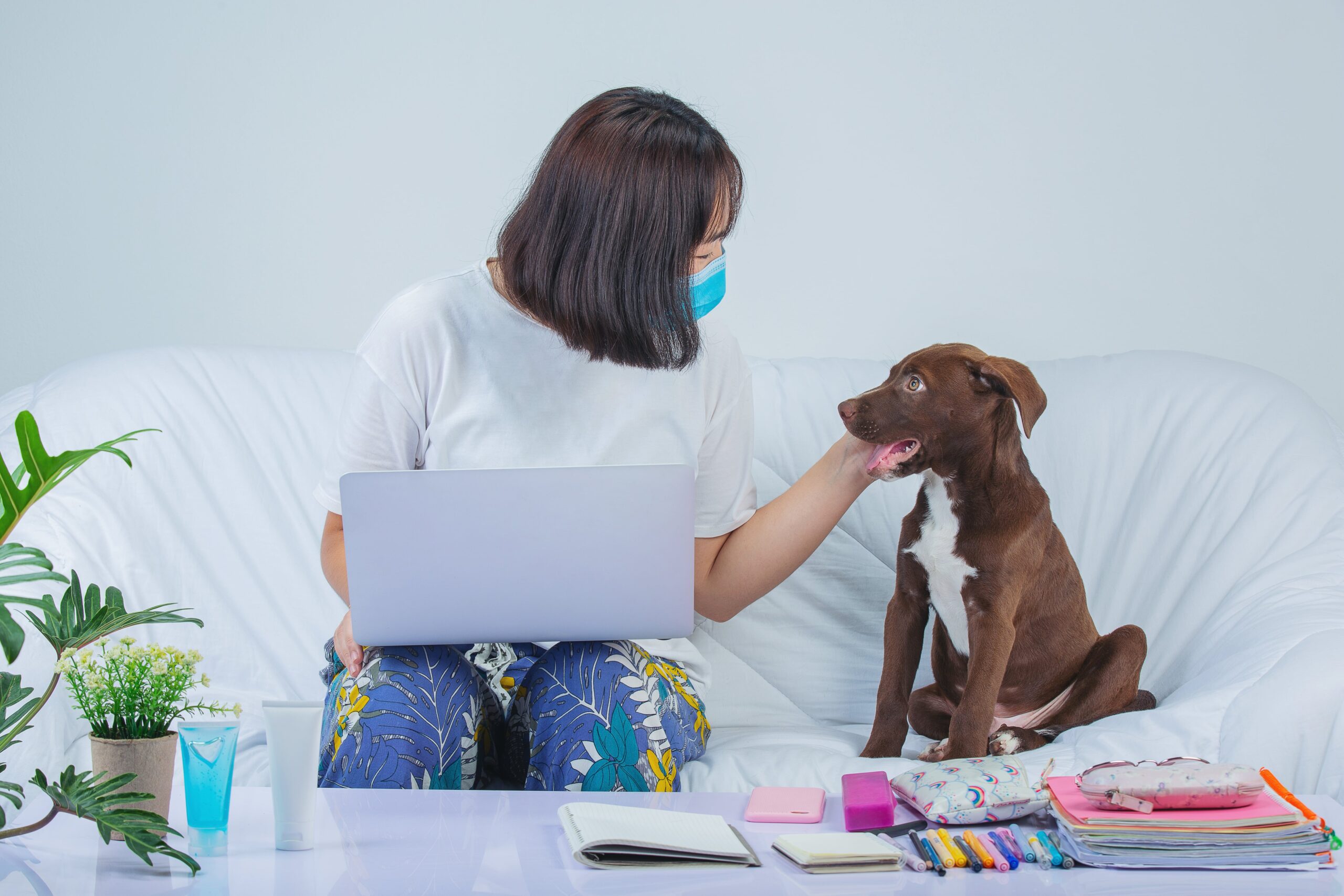 Pet Insurance Benefits