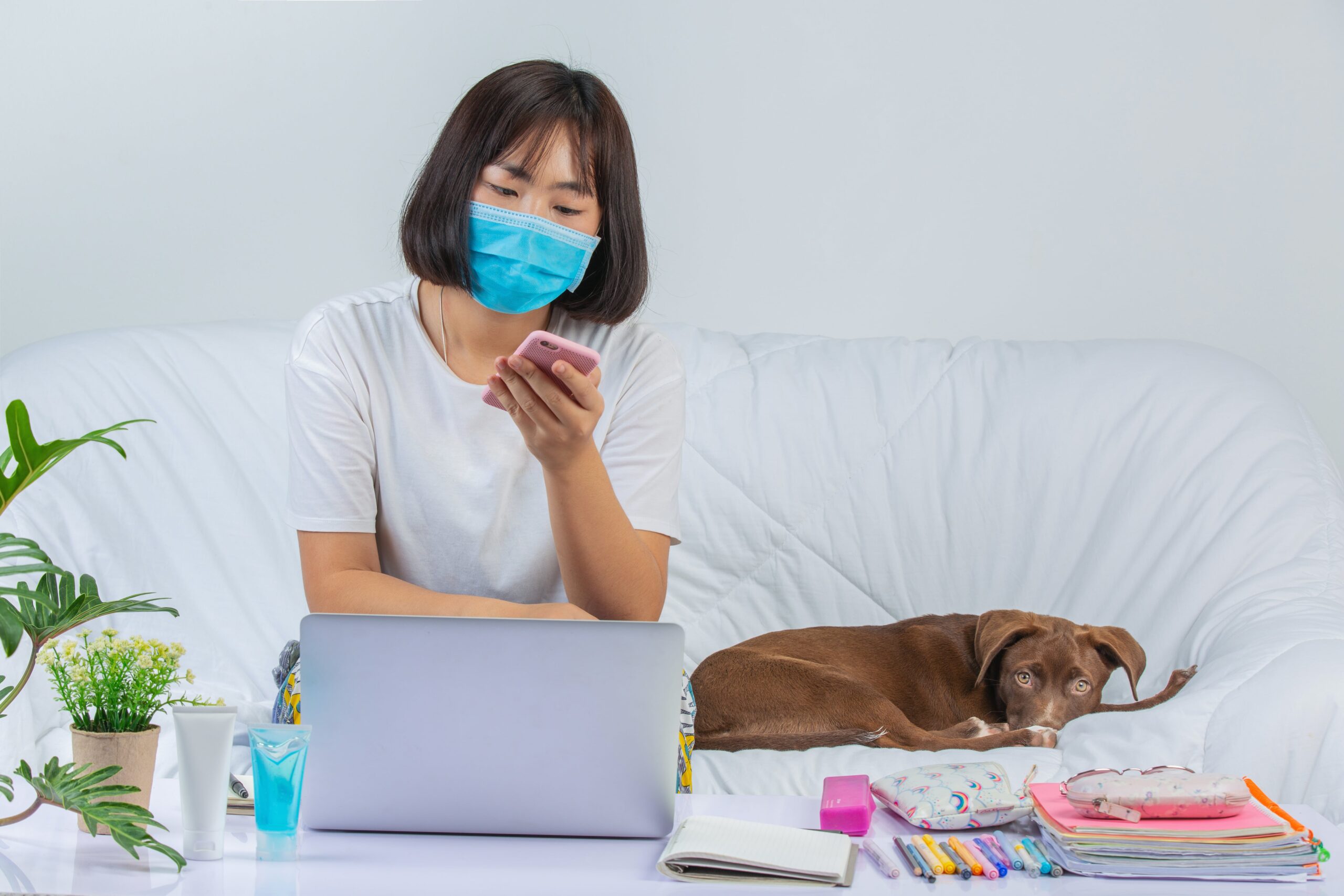 Email therapy in the treatment of canine arthritis 