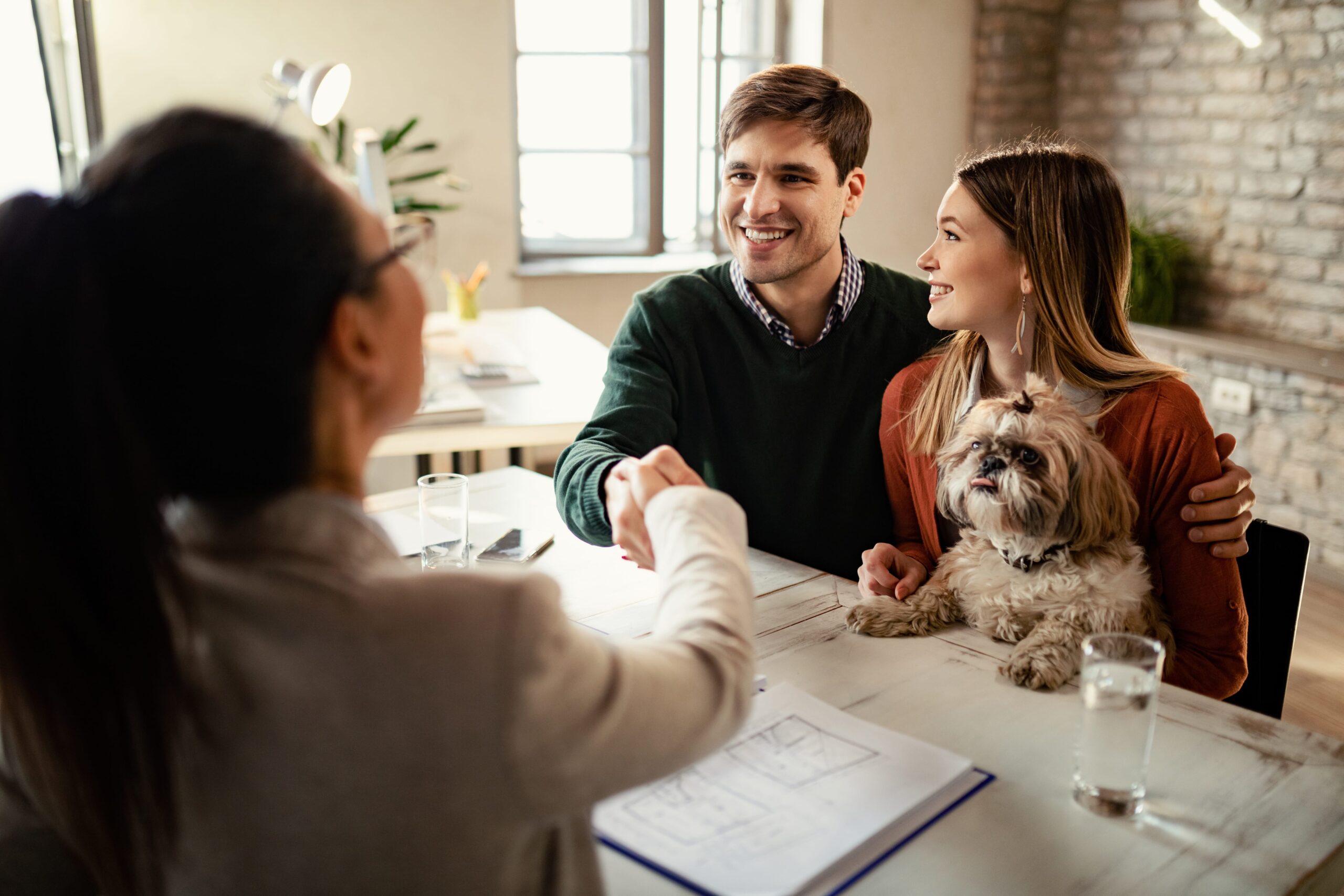 New pet insurance