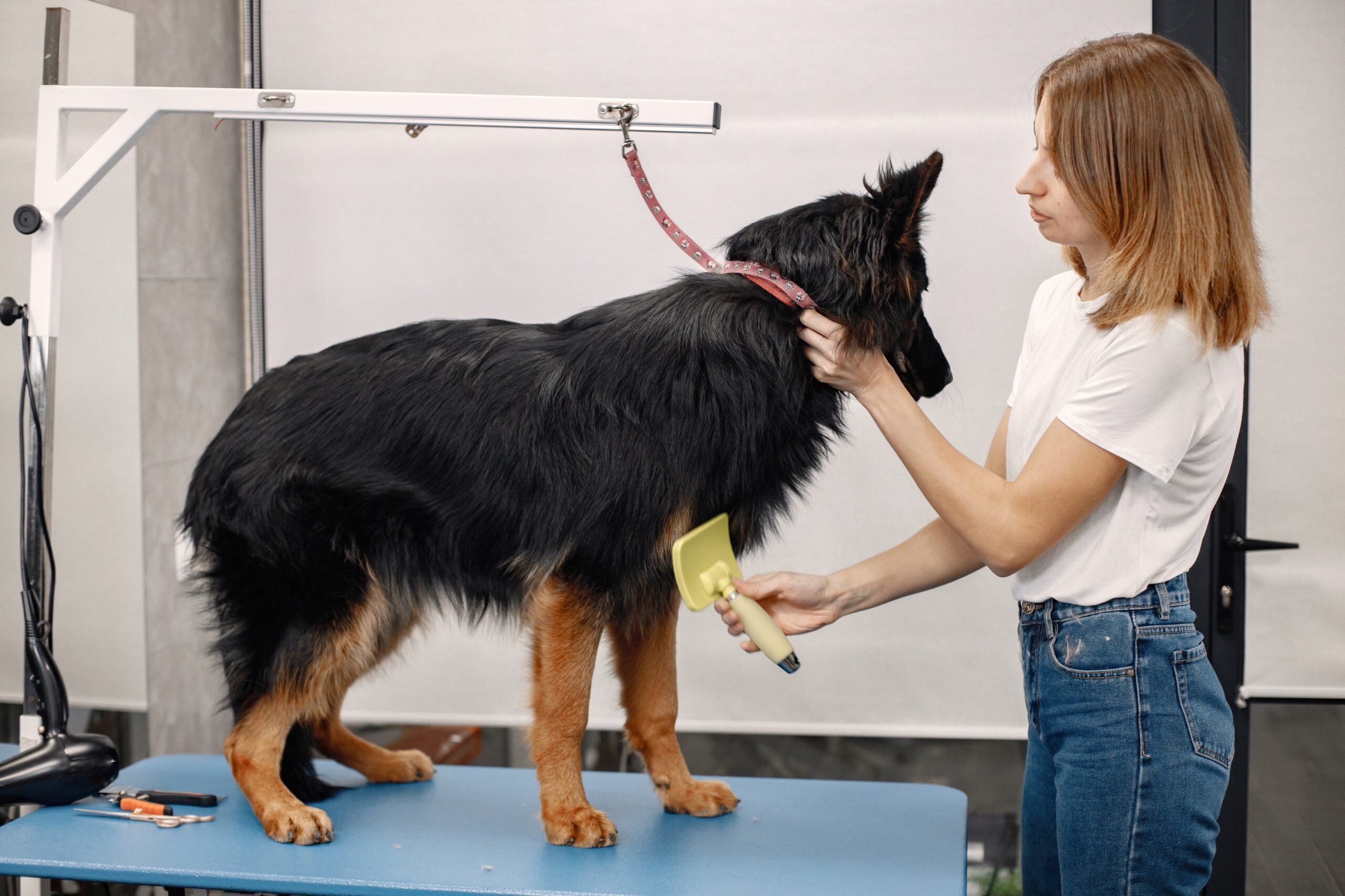 benefits of pet grooming