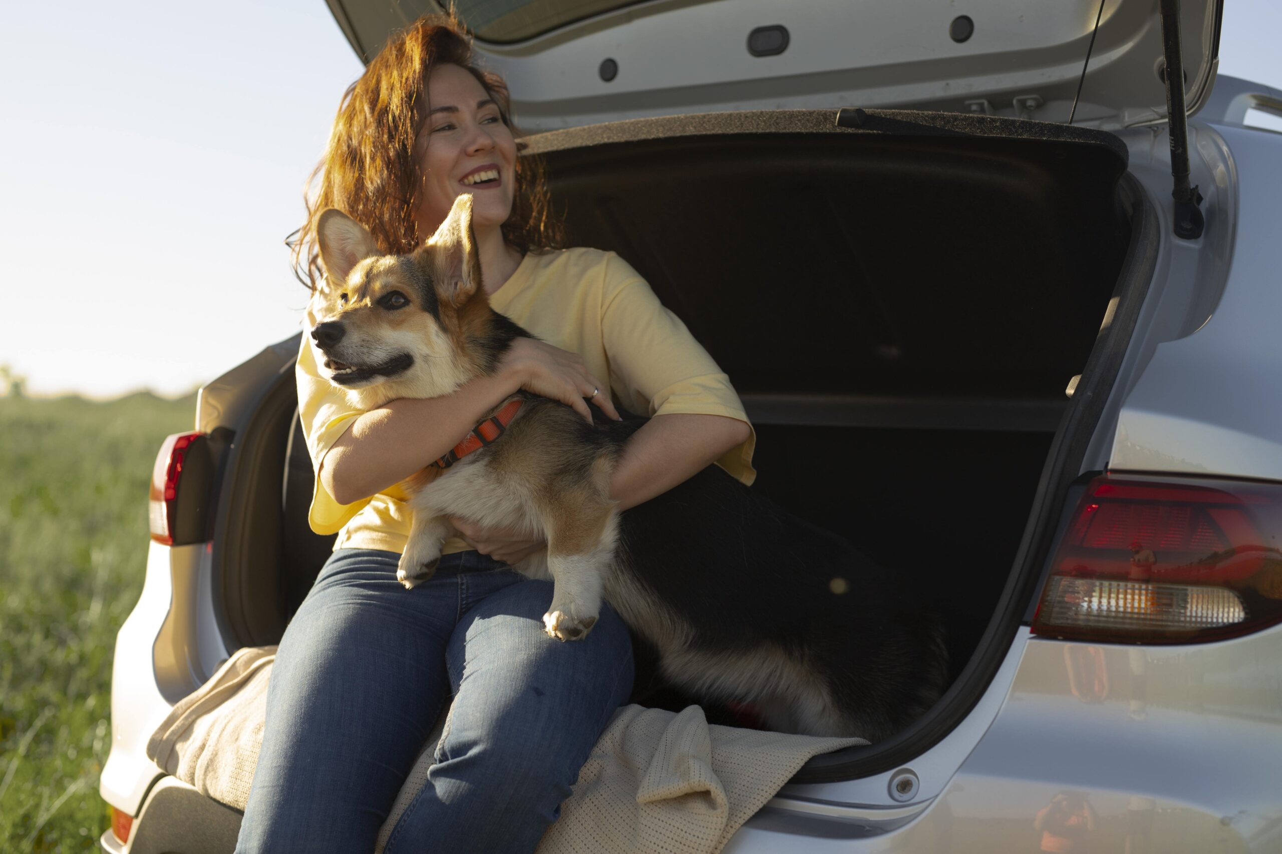 road trips with dogs