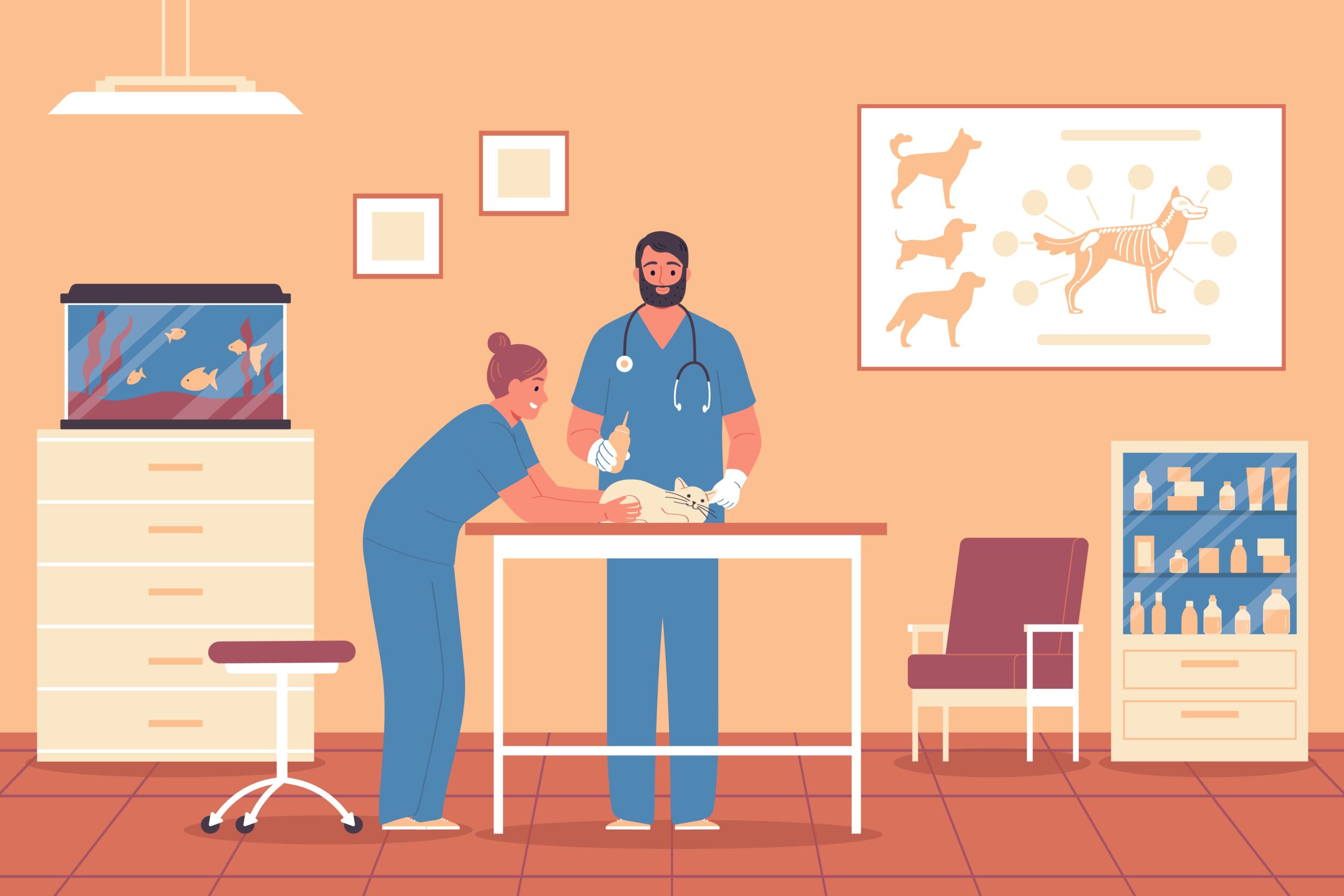 Emergency Vet Clinic