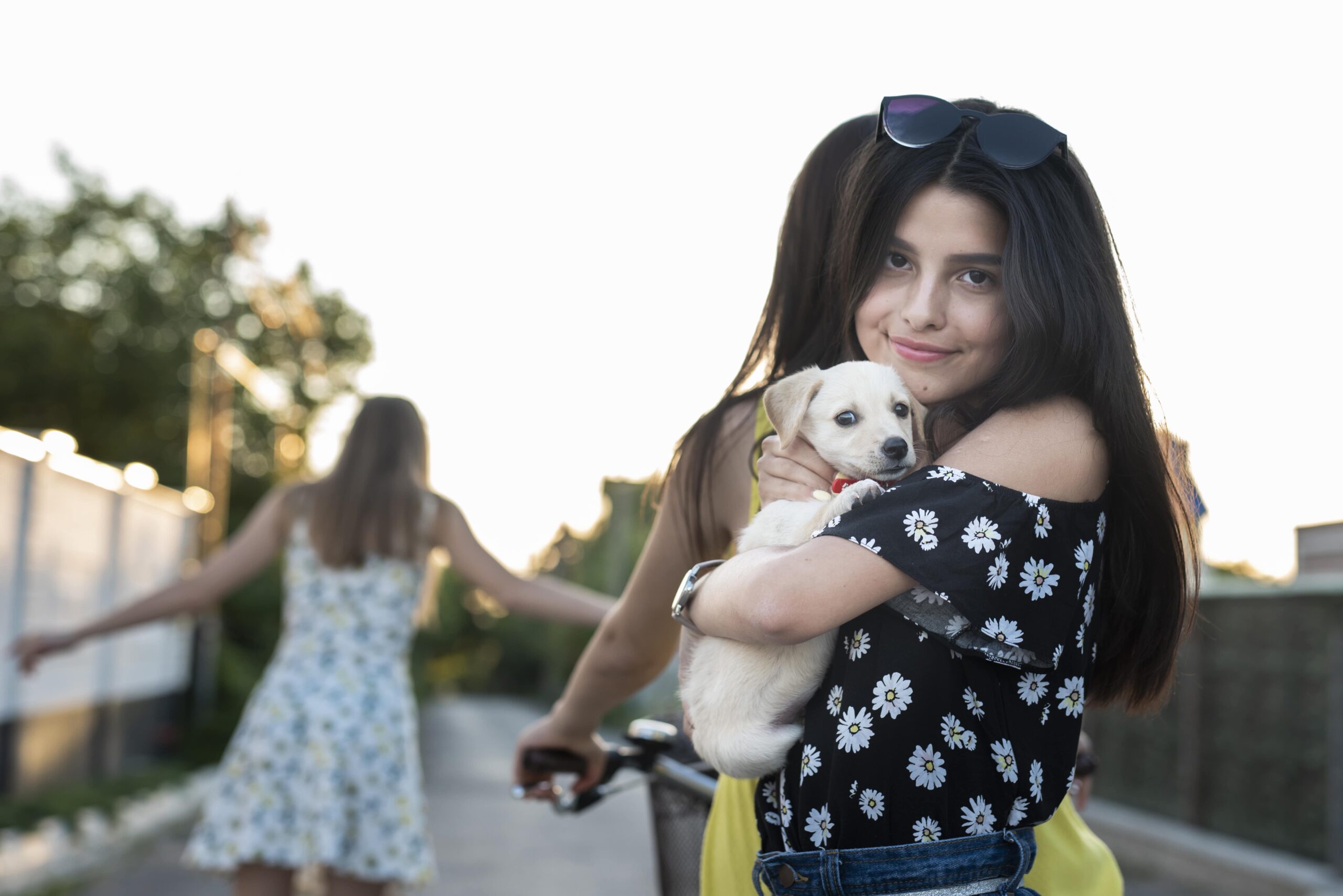 encourage dog adoption