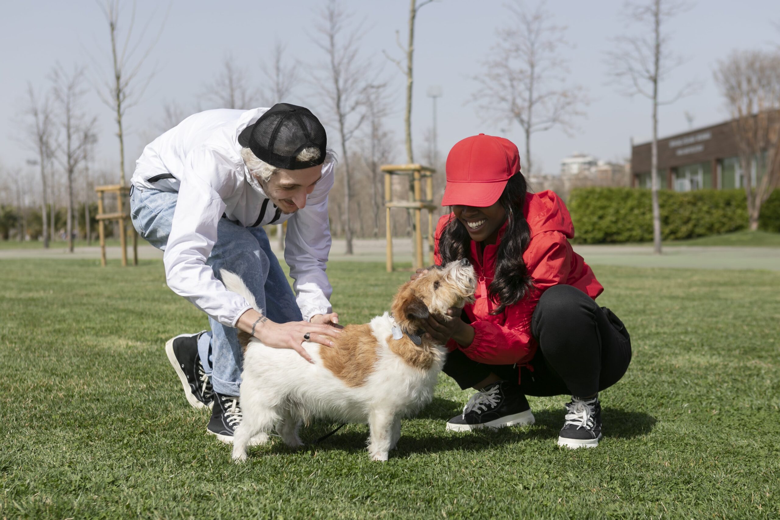 Training Techniques for Blind Dogs