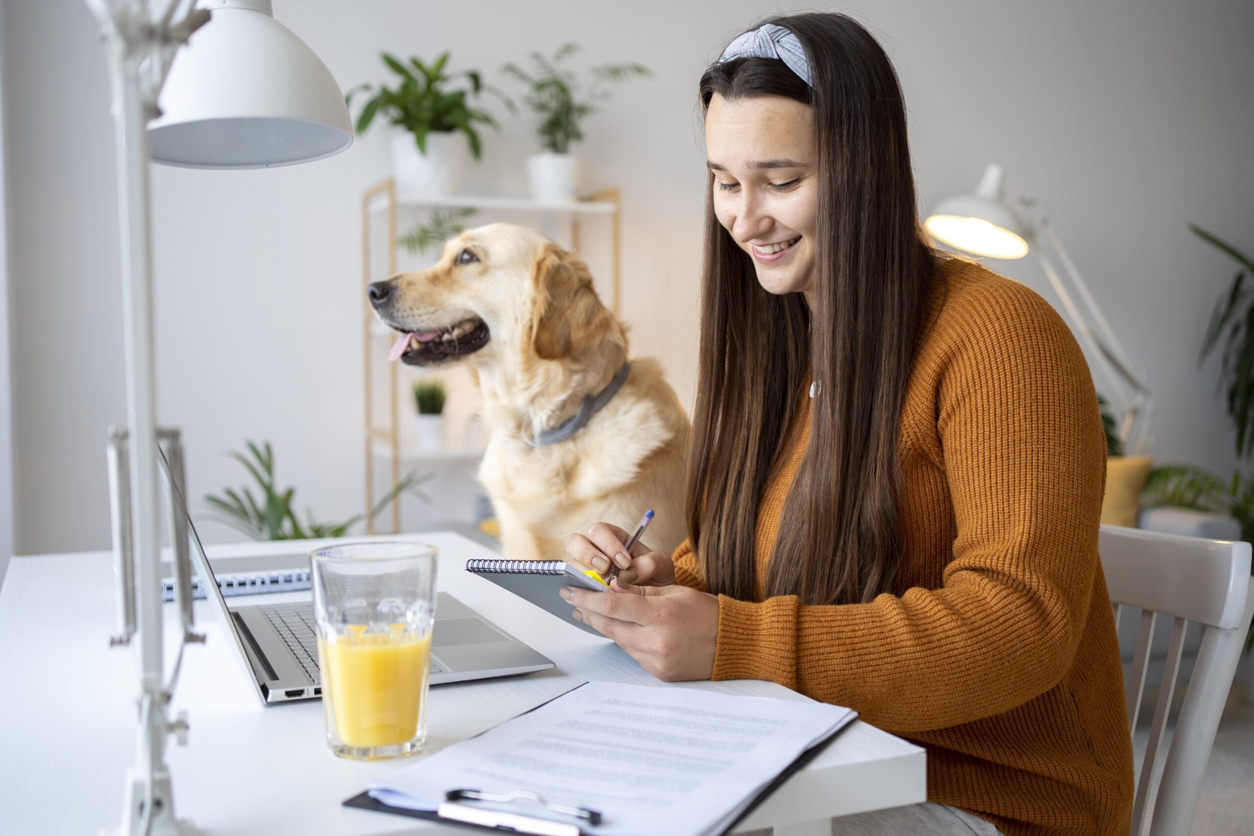 Petsfolio for Dog Insurance
