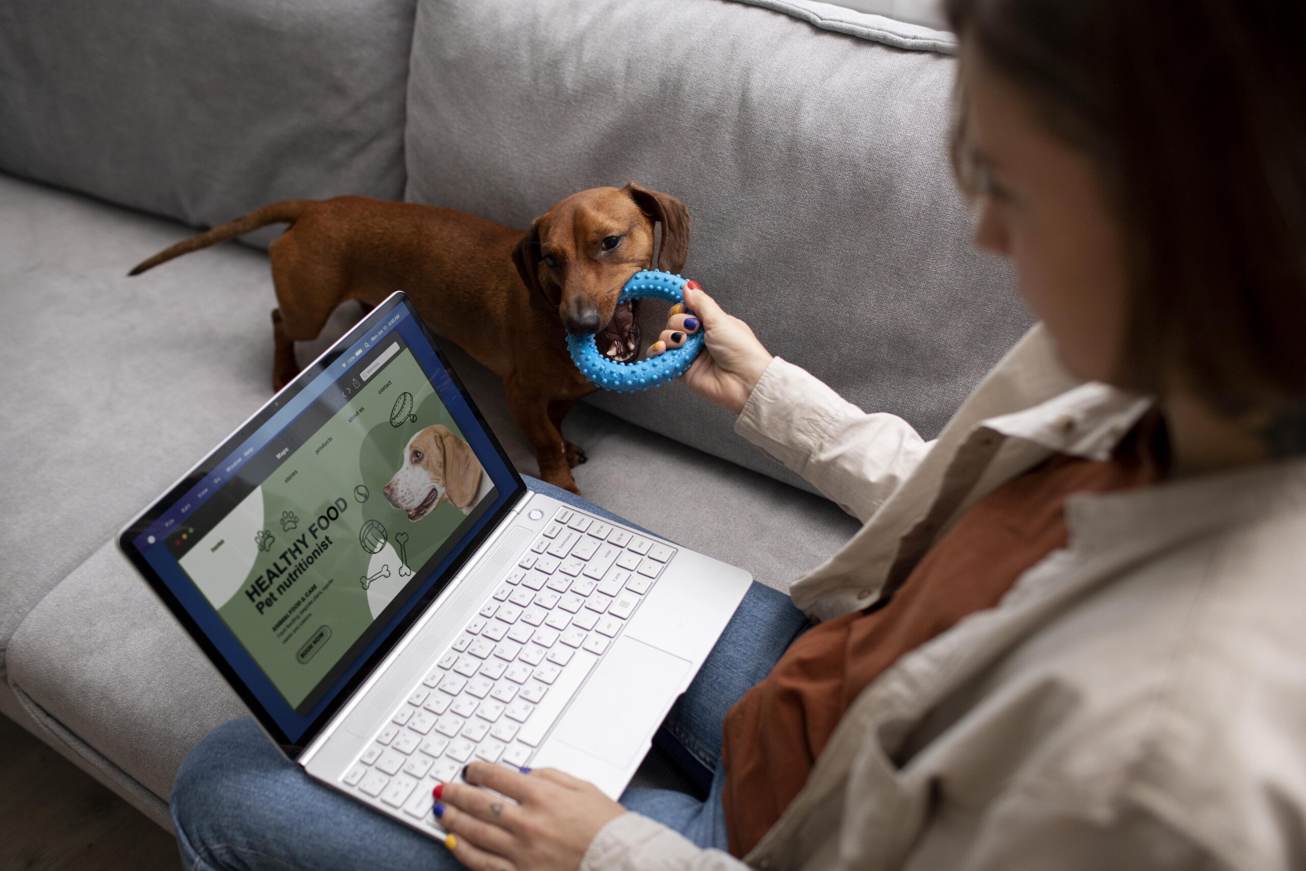 online pet training websites
