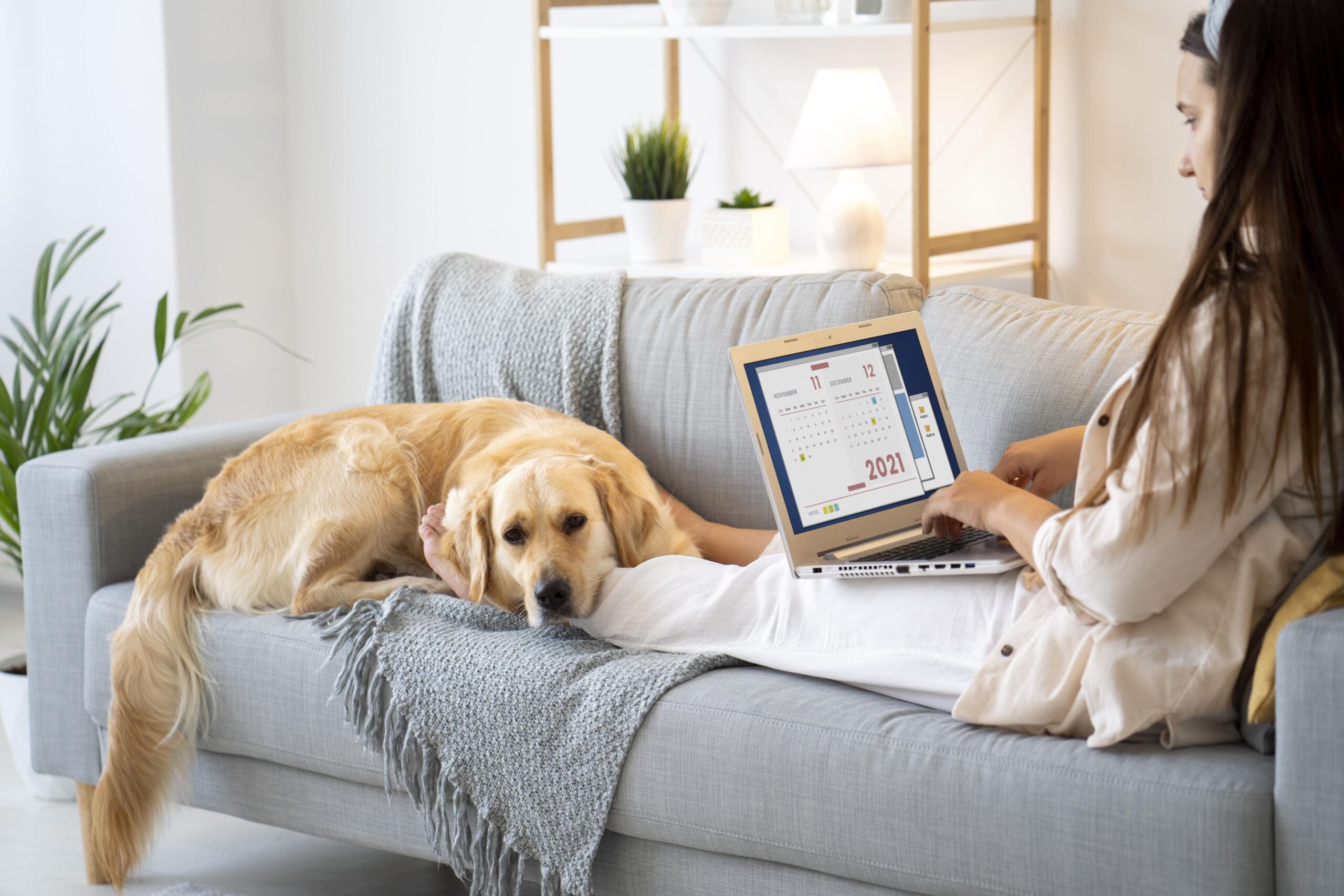 Look for in a Policy