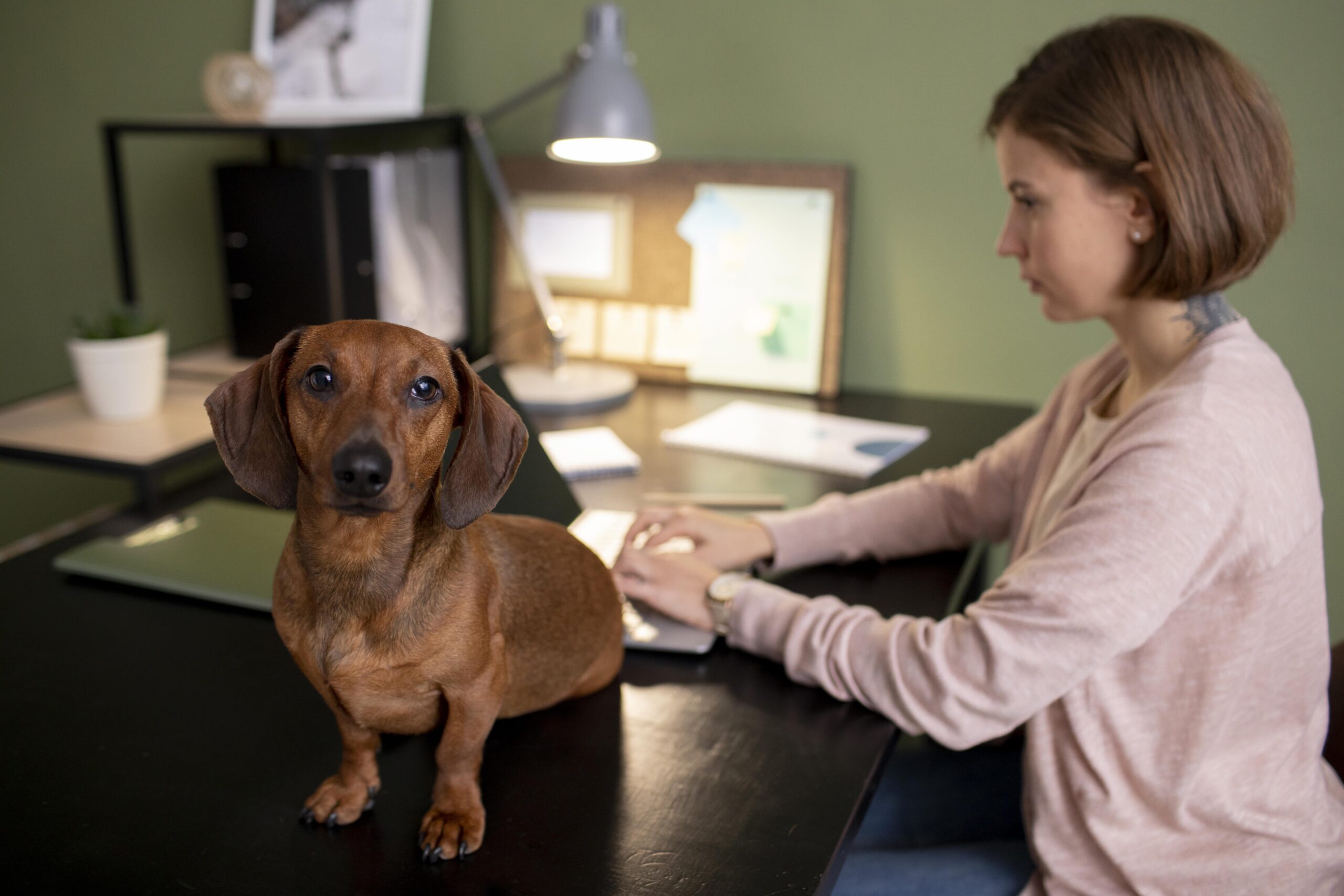 Indoors Time Structure