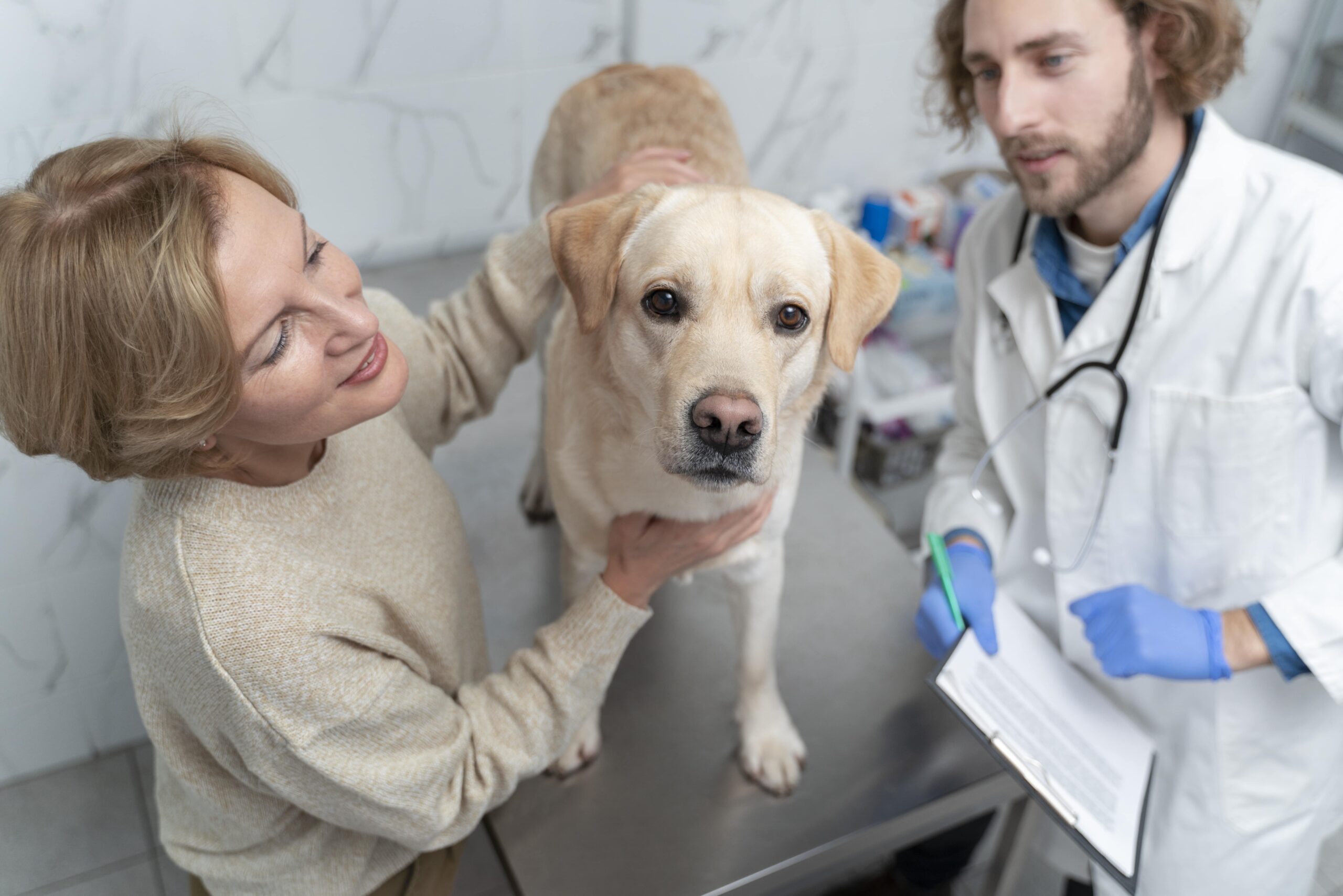 Key Points on pet insurances