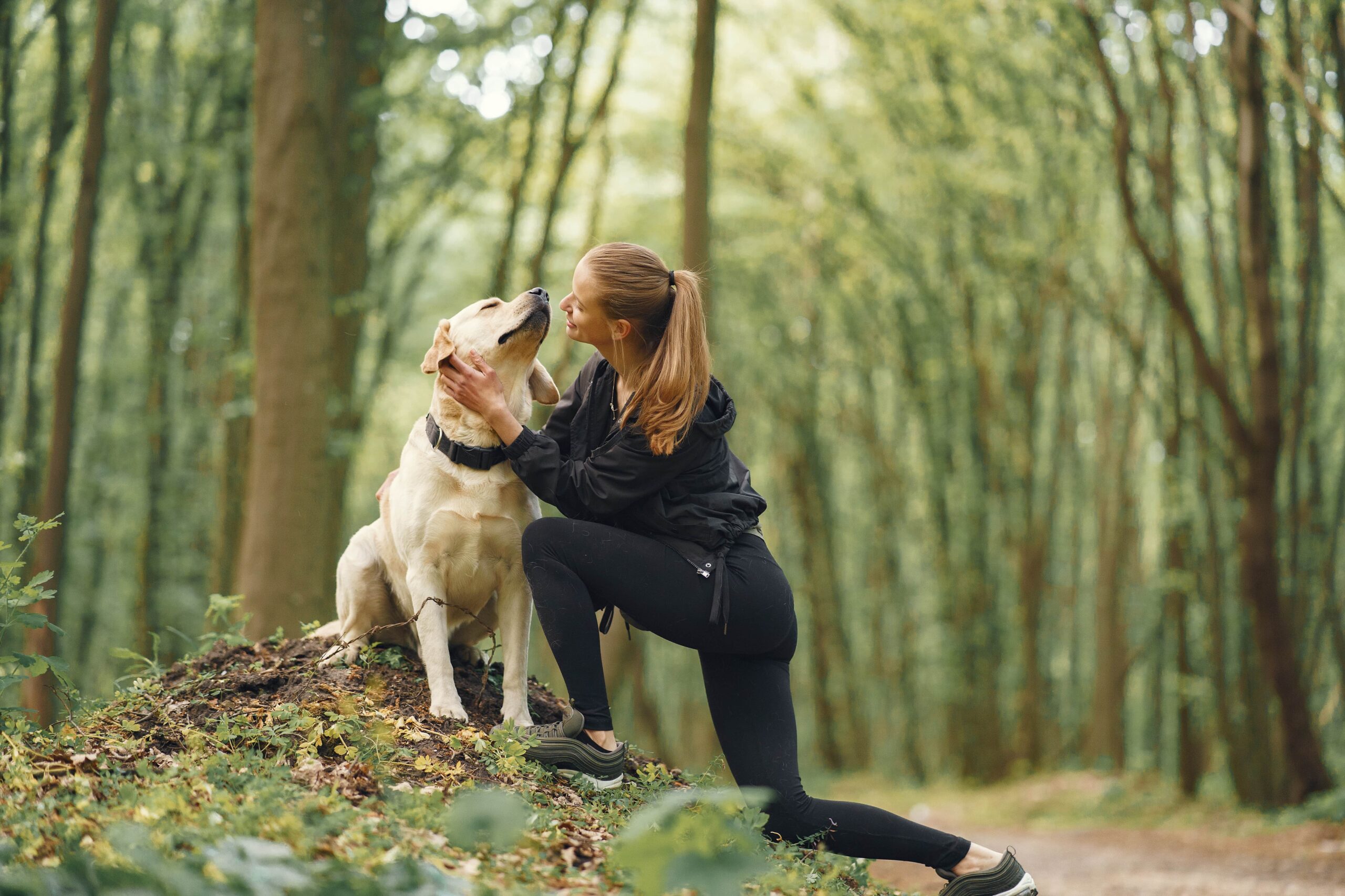 Challenges in Dog Training Services