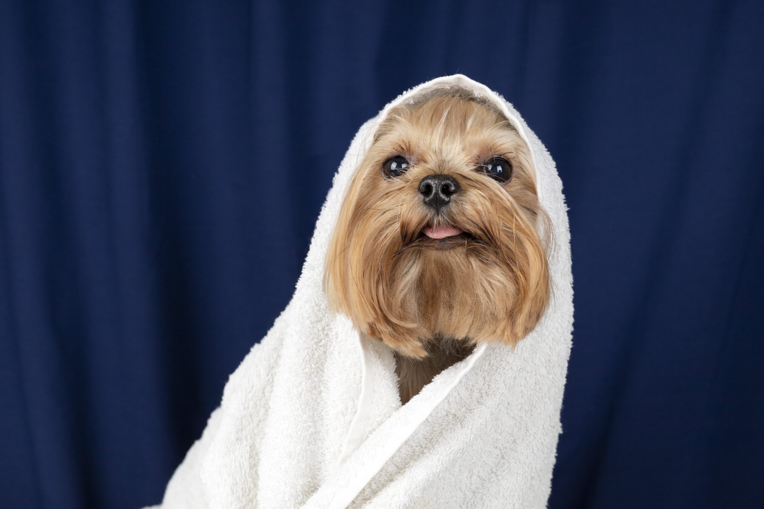Warm towels in the bath