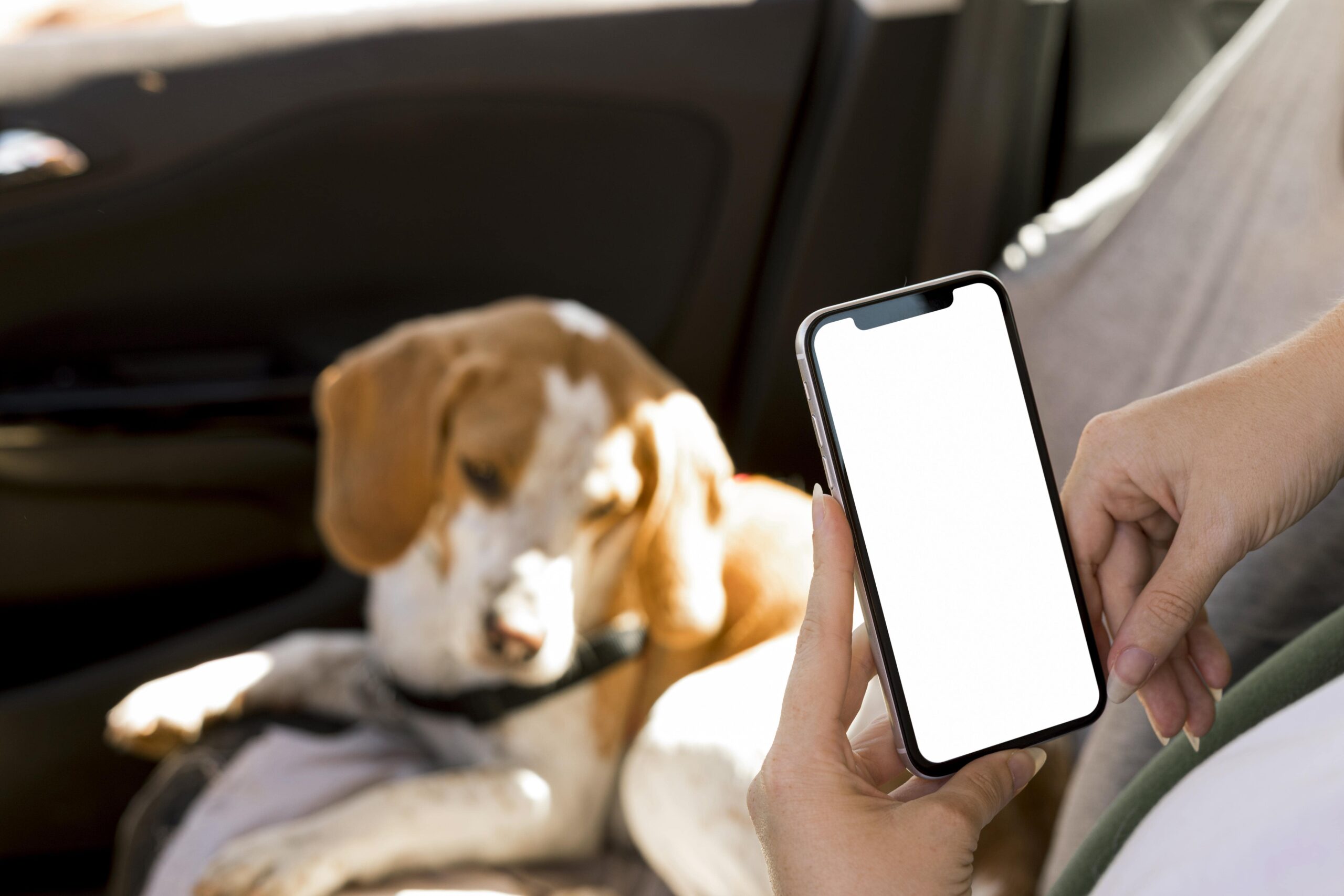 Mobile and On-Demand Services