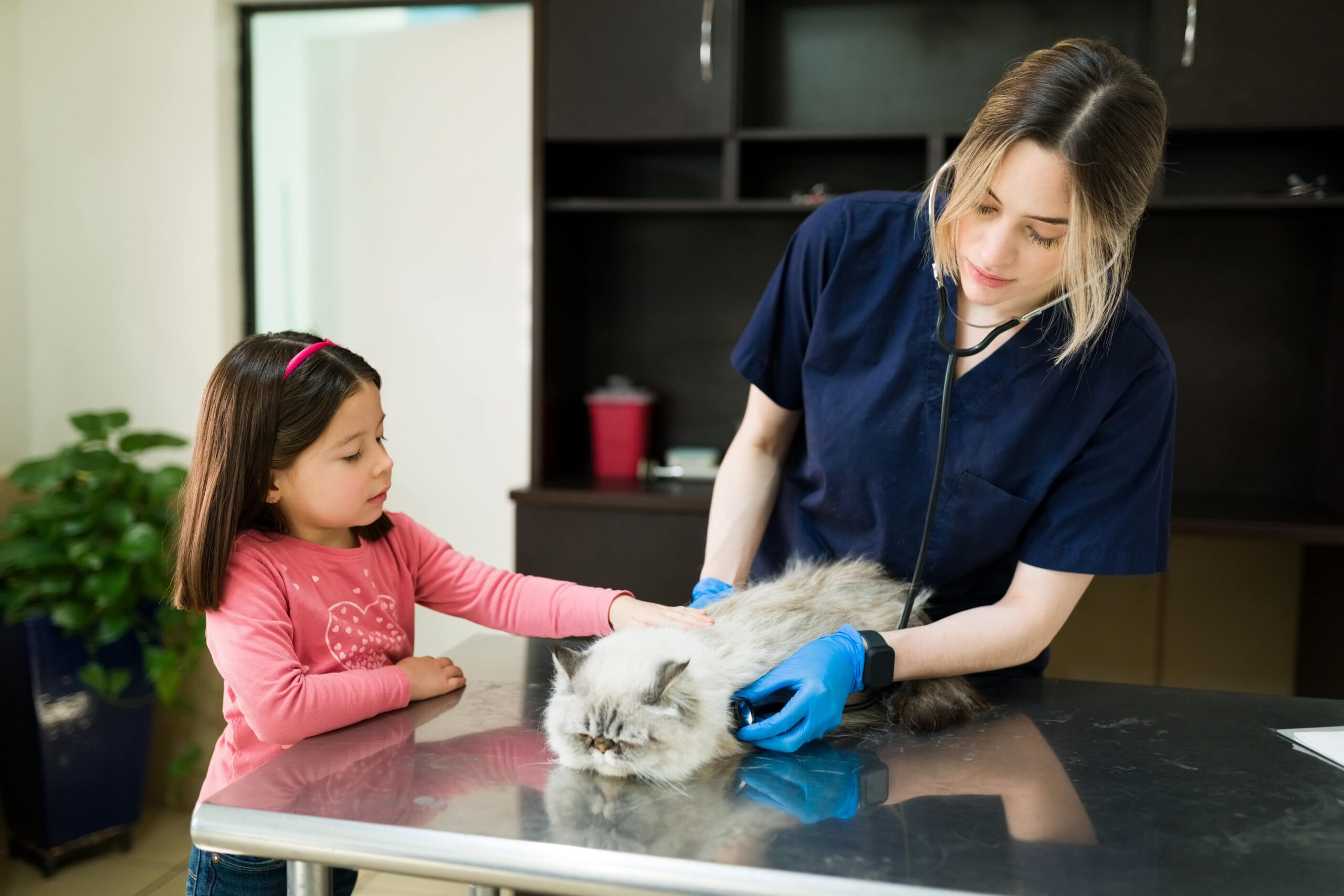 at-home vet care
