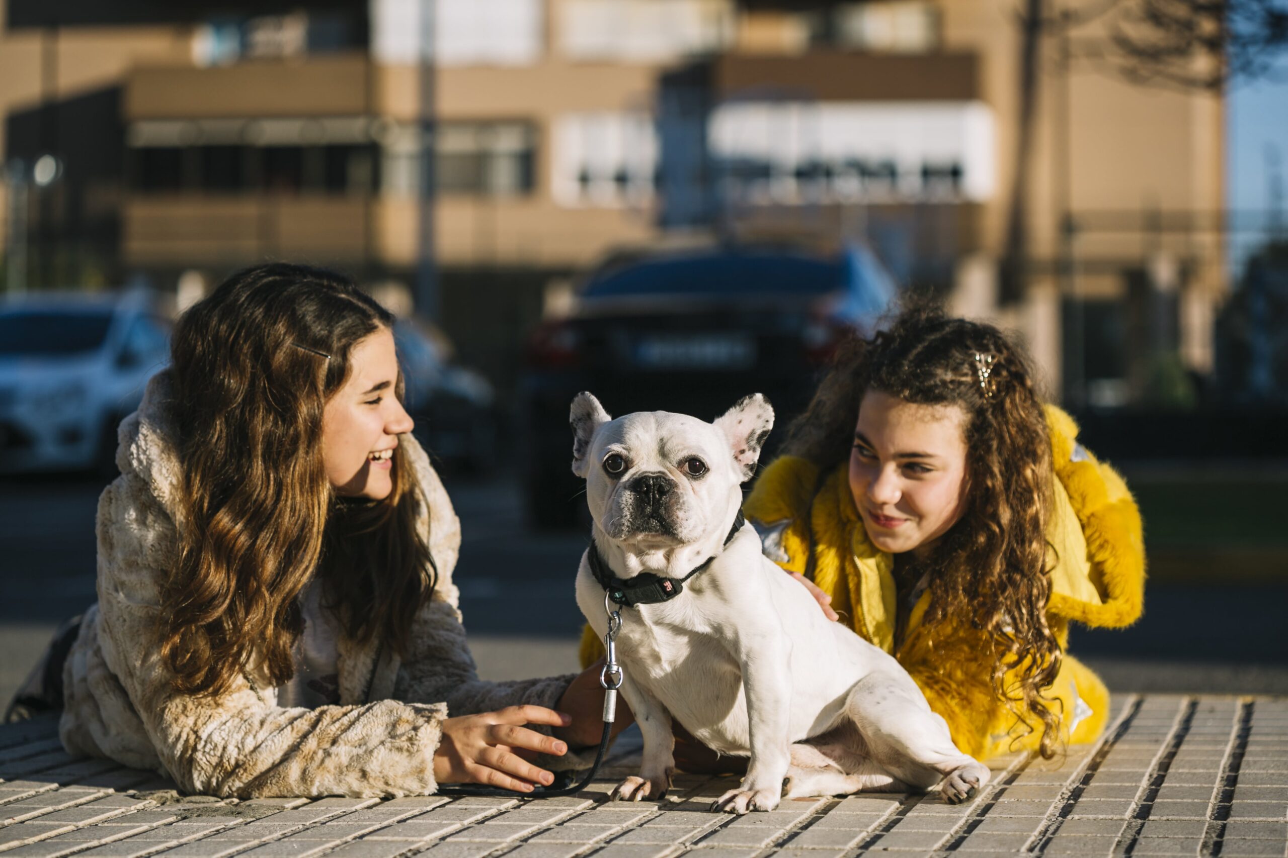 Lifestyle Changes Dogs